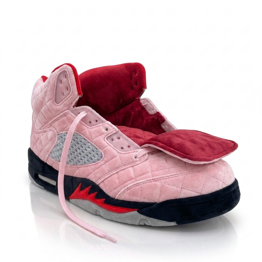 Awake NY Jordan 5 Arctic Pink Dog Bed